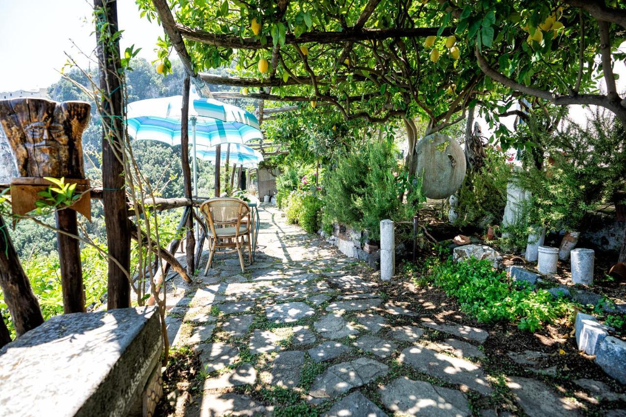 B&B Ercole Di 아말피 외부 사진